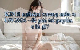 KINH nghiệm xương máu ok99 2026   để giải trí payline là gì