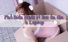 phổ biến nhất n bet ổn định laptop